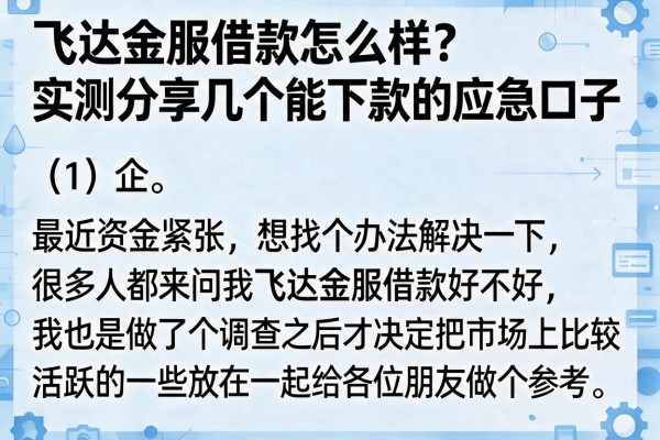 飞达金服借款怎么样？实测分享几个能下款的应急口子