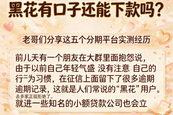 黑花有口子还能下款吗？老哥们分享这五个分期平台实测经历