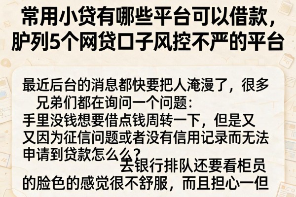 常用小贷有哪些平台可以借款，胪列5个网贷口子风控不严的平台