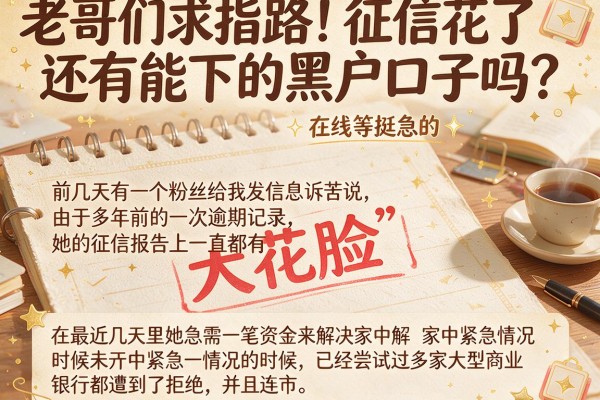 老哥们求指路！征信花了还有能下的黑户口子吗？在线等挺急的