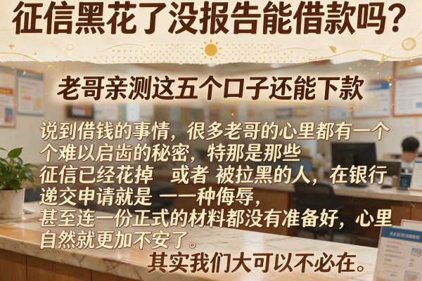 征信黑花了没报告能借款吗？老哥亲测这五个口子还能下款