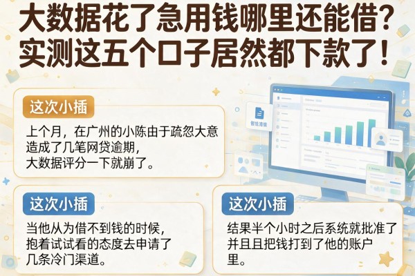 大数据花了急用钱哪里还能借？实测这五个口子居然都下款了！