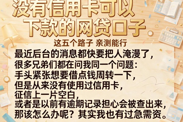 没有信用卡可以下款的网贷口子,这五个路子亲测能行
