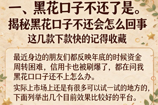 揭秘黑花口子不还会怎么回事,这几款下款快的记得收藏