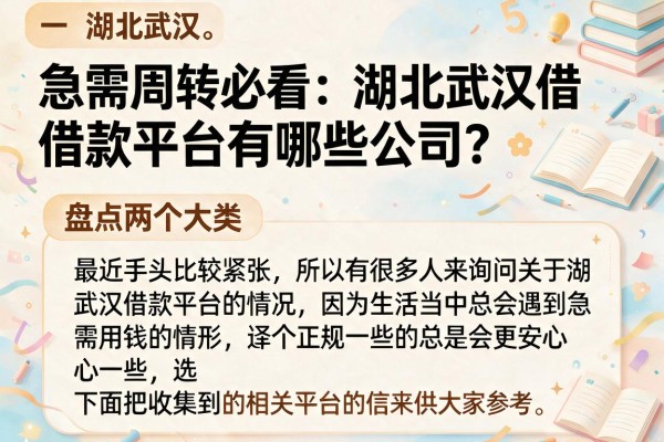 急需周转必看:湖北武汉借款平台有哪些公司?盘点两个大类