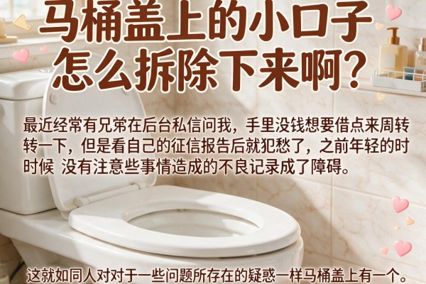 马桶盖上的小口子怎么拆除下来啊？拆解几个不看征信的借款路子
