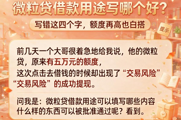 微粒贷借款用途写哪个好？写错这四个字，额度再高也白搭