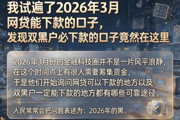 我试遍了2026年3月网贷能下款的口子，发现双黑户必下款的口子竟然在这里