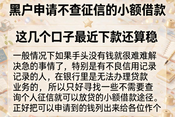 黑户申请不查征信的小额借款，这几个口子最近下款还算稳