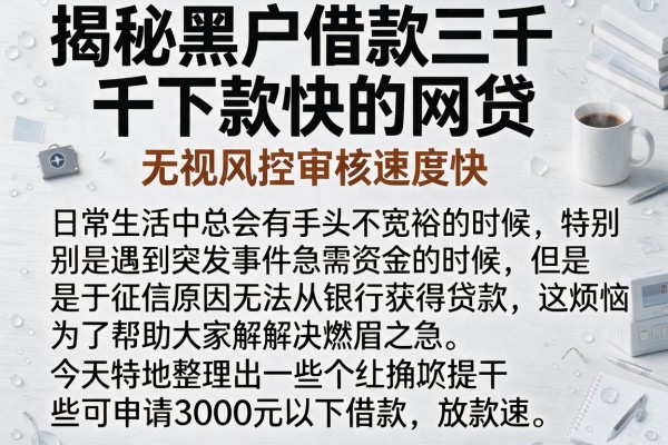 揭秘黑户借款三千下款快的网贷，无视风控审核速度快