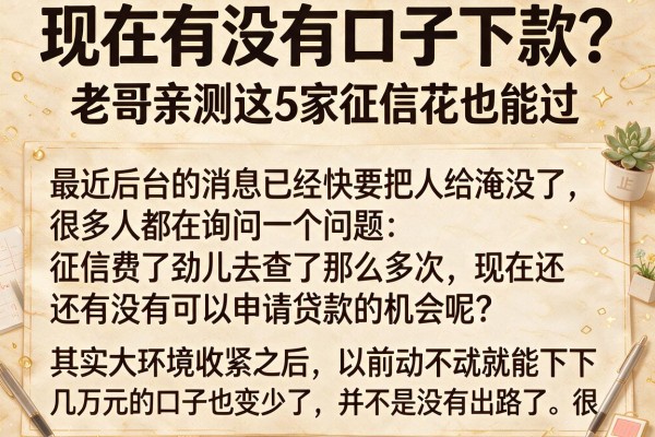 现在有没有口子下款？老哥亲测这5家征信花也能过