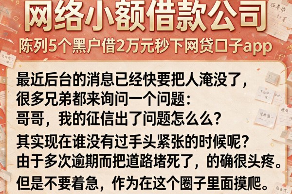 网络小额借款公司，陈列5个黑户借2万元秒下网贷口子app
