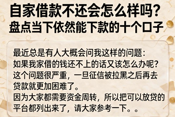 自家借款不还会怎么样吗？盘点当下依然能下款的十个口子