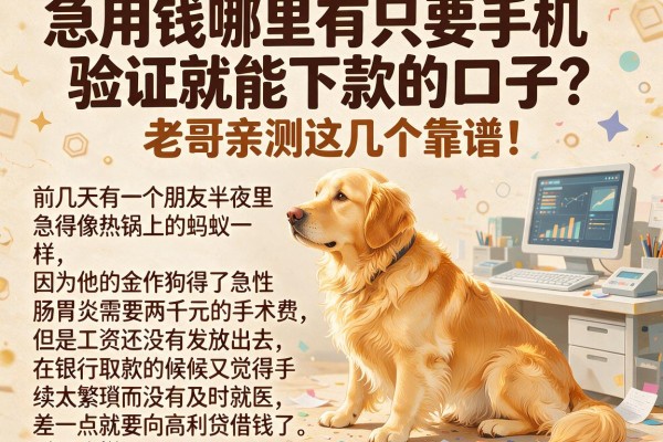 急用钱哪里有只要手机验证就能下款的口子？老哥亲测这几个靠谱！
