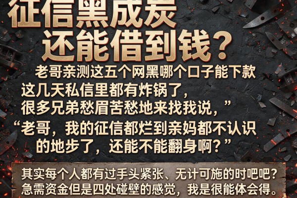 征信黑成炭还能借到钱？老哥亲测这五个网黑哪个口子能下款