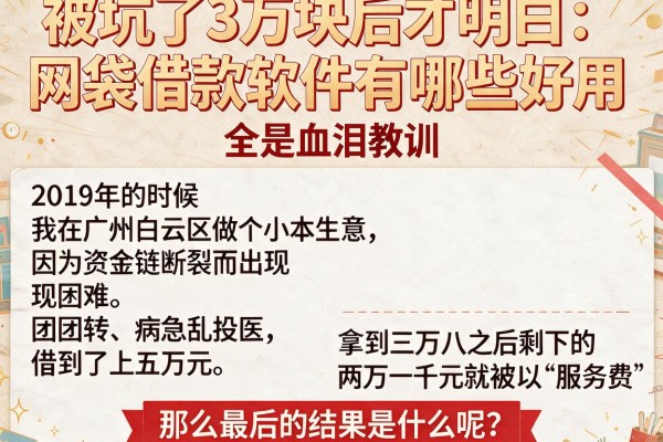 被坑了3万块后才明白：网袋借款软件有哪些好用，全是血泪教训