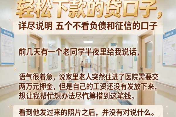 轻松下款的贷口子，详尽说明五个不看负债和征信的口子