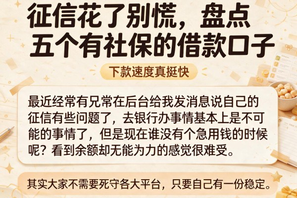 征信花了别慌，盘点五个有社保的借款口子，下款速度真挺快