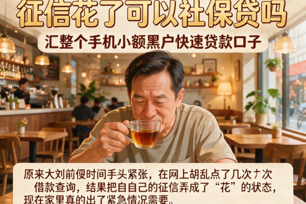征信花了可以社保贷吗,汇整五个手机小额黑户快速贷款口子