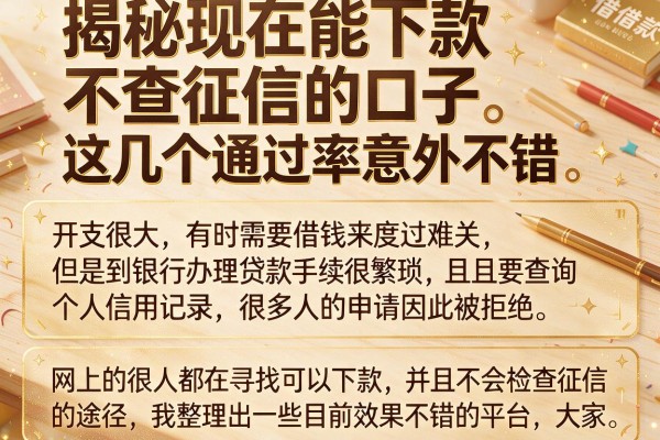 揭秘现在能下款不查征信的口子，这几个通过率意外不错