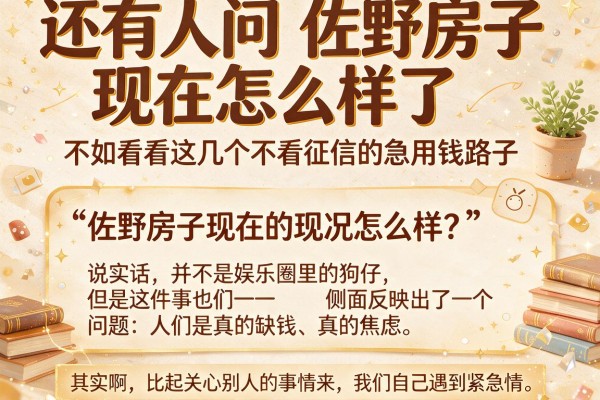 还有人问佐野房子现在怎么样了？不如看看这几个不看征信的急用钱路子