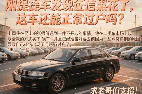 刚提完车发现征信黑花了，这车还能正常过户吗？求老哥们支招！
