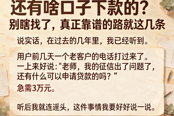 还有啥口子下款的？别瞎找了，真正靠谱的路就这几条