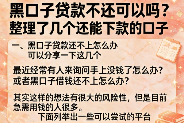 黑口子贷款不还可以吗？整理了几个还能下款的口子