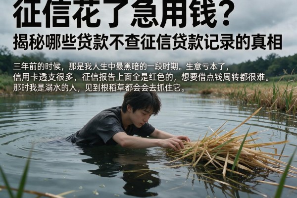 征信花了急用钱？揭秘哪些贷款不查征信贷款记录的真相