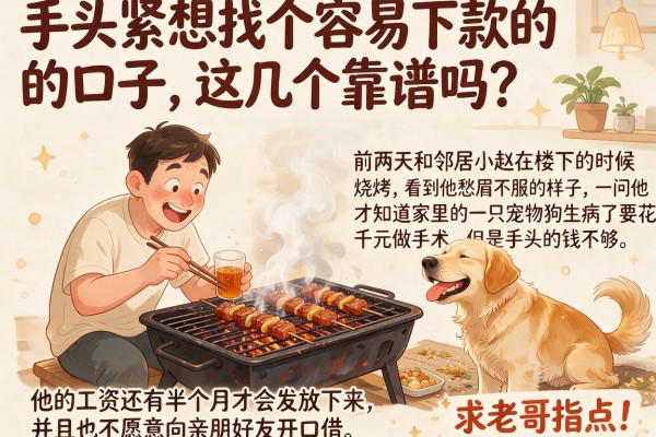 手头紧想找个容易下款的口子，这几个靠谱吗？求老哥指点！