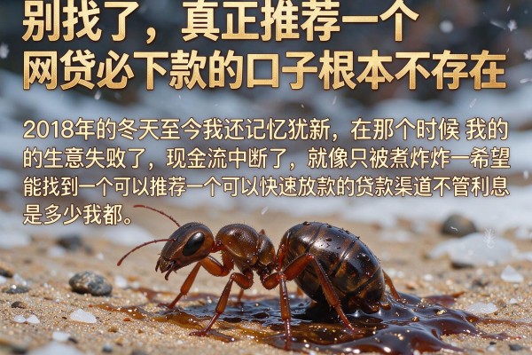 别找了，真正推荐一个网贷必下款的口子根本不存在