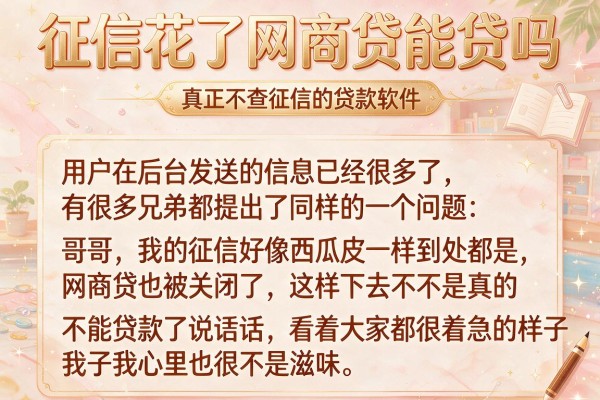 征信花了网商贷能贷吗，枚举五个真正不查征信的贷款软件