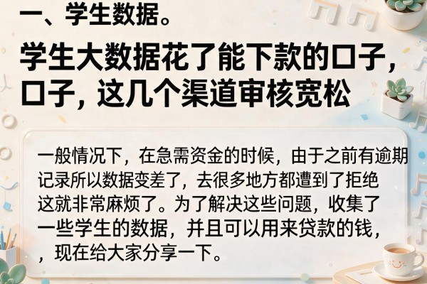 学生大数据花了能下款的口子，这几个渠道审核宽松