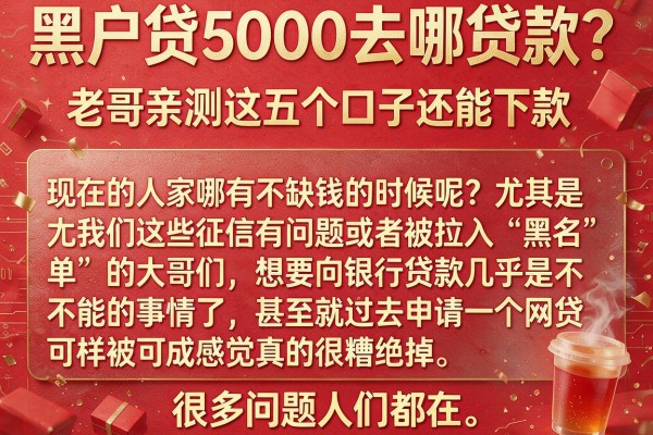 黑户贷5000去哪贷款？老哥亲测这五个口子还能下款