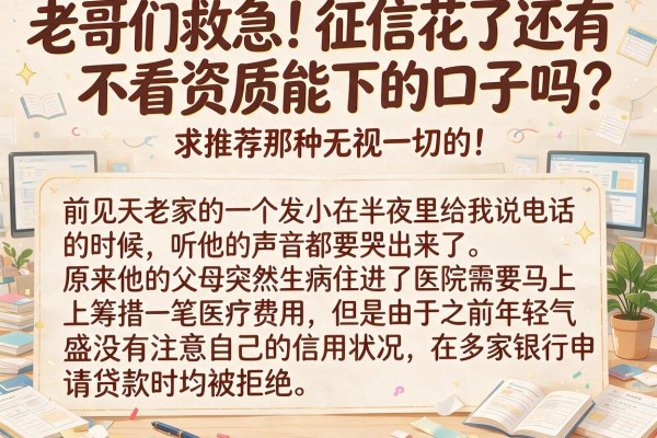 老哥们救急！征信花了还有不看资质能下的口子吗？求推荐那种无视一切的！