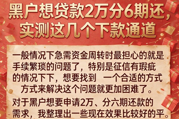 黑户想贷款2万分6期还，实测这几个下款通道
