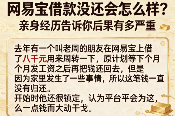 网易宝借款没还会怎么样？亲身经历告诉你后果有多严重