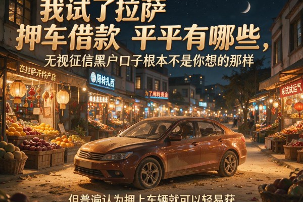 我试了拉萨押车借款平台有哪些，发现无视征信黑户口子根本不是你想的那样