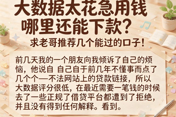 大数据太花急用钱哪里还能下款？求老哥推荐几个能过的口子！