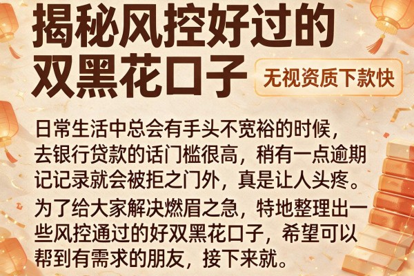 揭秘风控好过的双黑花口子，无视资质下款快