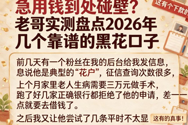 急用钱到处碰壁？老哥实测盘点2026年几个靠谱的黑花口子，这有个下款的真事！