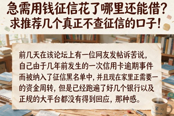 急需用钱征信花了哪里还能借?求推荐几个真正不查征信的口子!