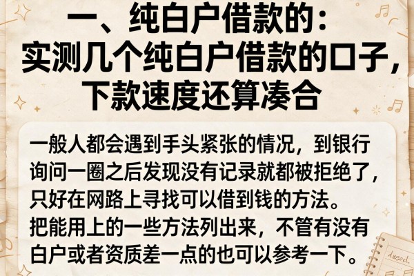 实测几个纯白户借款的口子，下款速度还算凑合