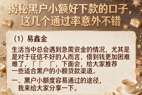 揭秘黑户小额好下款的口子，这几个通过率意外不错