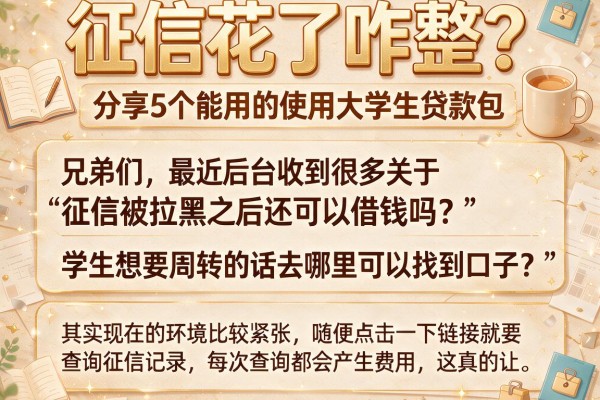 征信花了咋整？分享5个能用的使用大学生贷款包