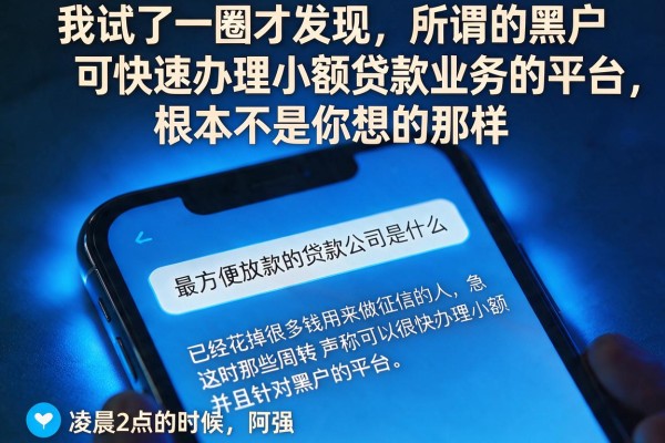 我试了一圈才发现，所谓的黑户可快速办理小额贷款业务的平台，根本不是你想的那样