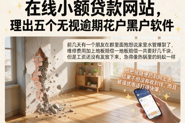 在线小额贷款网站，理出五个无视逾期大数据花户黑户软件