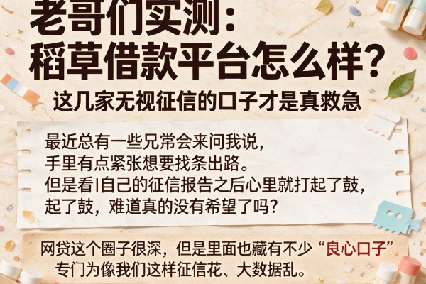 老哥们实测：稻草借款平台怎么样？这几家无视征信的口子才是真救急