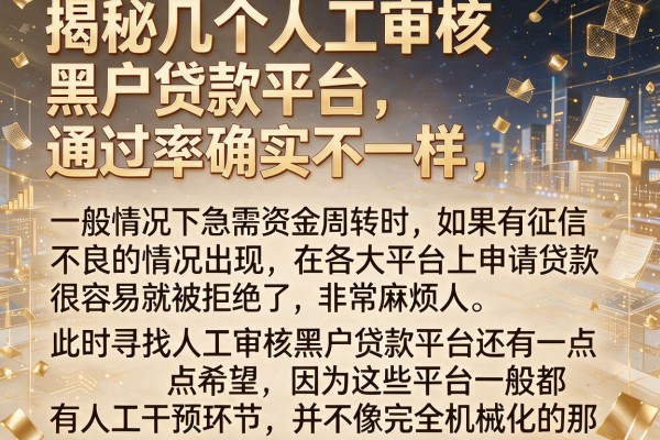 揭秘几个人工审核黑户贷款平台，通过率确实不一样