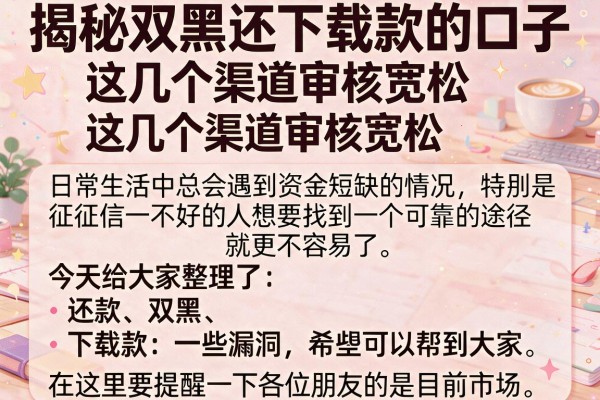 揭秘双黑还下载款的口子，这几个渠道审核宽松